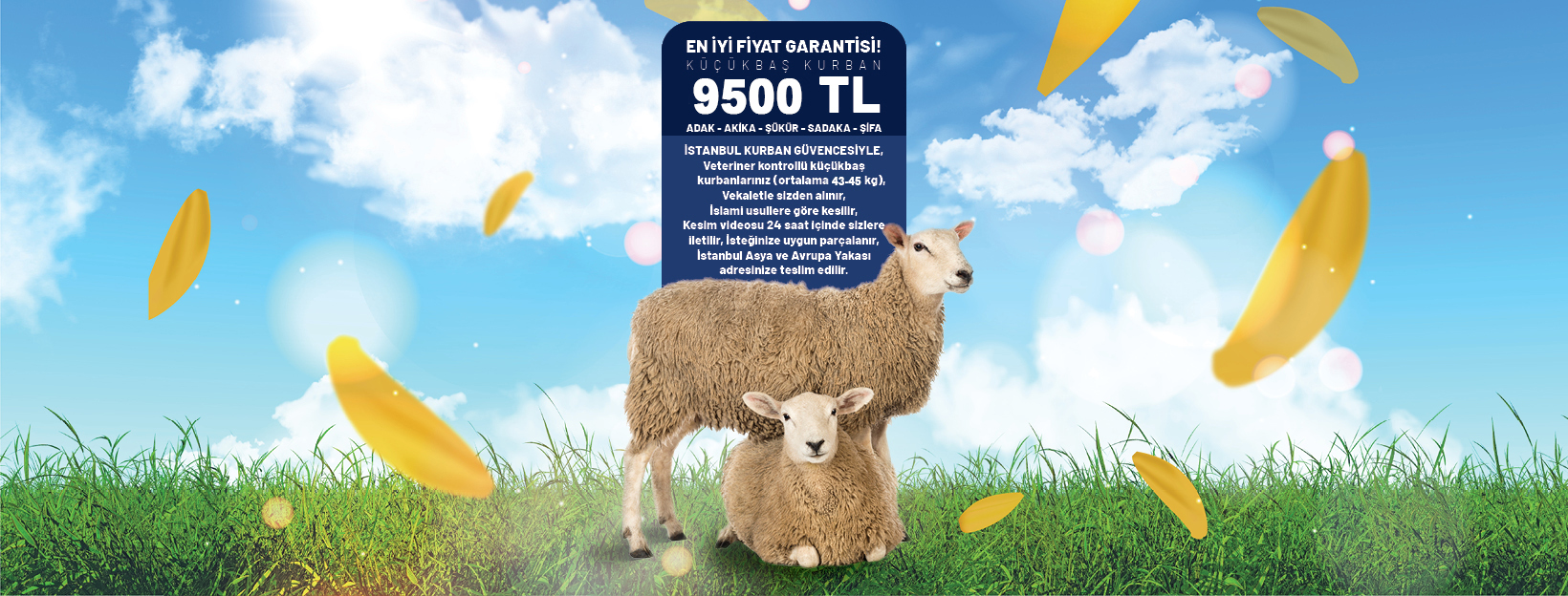 İstanbul Kurban Banner4